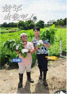 城市漫游者 人文综艺在线看
